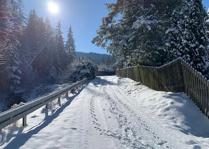 Czaremka - Sauna, Basen, Kino, Bilard, Bawialnia Vila